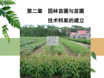 园林苗圃与苗圃技术档案的建立