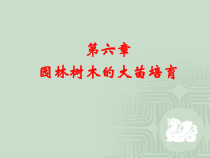 园林树木的大苗培育