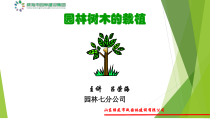 园林树木的栽植吕荣海75
