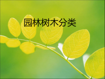 园林树木分类