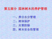 园林树木养护管理