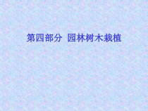 园林树木栽植
