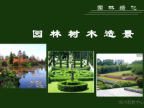 园林树木造景