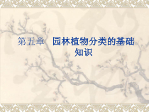 园林植物分类的基础知识