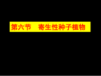 园林植物病理学第三章寄生性种子植物
