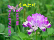园林植物环境有机肥料
