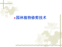 园林植物修剪技术(之三)