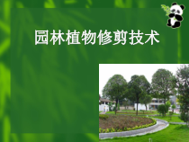 园林植物修剪技术