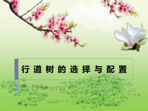 园林植物应用技术-行道树