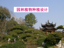 园林植物种植设计2