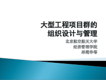 大型工程项目群的组织设计与管理教材