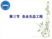 第三节 农业生态工程设计