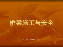 176629_桥梁施工与安全