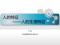 安全人机工程学-32人的生理特征