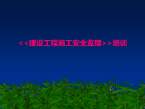 建设工程施工安全监理培训教材