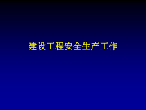 建设工程项目安全管理
