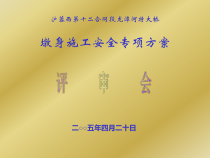 龙潭河特大桥主桥墩身施工安全专项方案