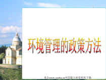 [能源行业]环境管理的政策方法