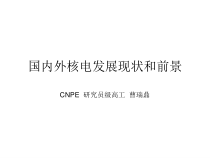 _能源行业--国内外核电发展现状和前景