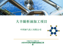 00中国油气化工有限公司大丰石化项目(XXXX版)