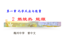 2燃烧热能源