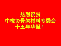 3坚持科技进步发展绿色化工-许春华