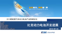 8-XXXX新能源汽车动力电池产业-比克