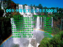 09年中国化工企业