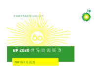 21世纪世界绿色能源展望