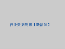 XXXX新能源行业数据