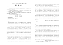 (新高考)高考语文第三次模拟考试卷 语文(4份打包，解析版+原卷版，A3版)
