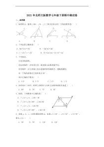 北师大版数学七年级下册期中测试卷六（含答案）