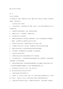 XXX公司安全生产制度