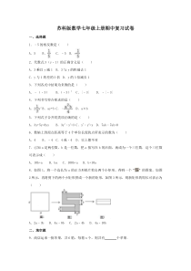 苏科版数学七年级上册期中复习试卷09（含答案）