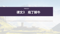 (新高考)高考语文一轮复习课件必修下册(一)课文梳理课文3《庖丁解牛》(含详解)