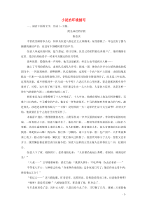 (新高考)高考语文一轮复习课时作业3.3.2《小说的环境描写》(含详解)