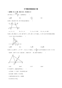 (四川版)2022年中考数学模拟练习卷10（含答案）