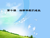 《法律伴我们成长》PPT课件4-七年级下册道德与法治部编人教版