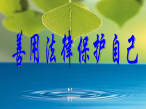 《法律伴我们成长》PPT课件3-七年级下册道德与法治部编人教版