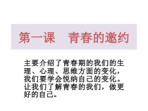 《青春的邀约》复习PPT课件-七年级下册道德与法治部编人教版