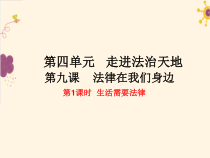 第九课《法律在我们身边——生活需要法律》PPT课件4-七年级下册道德与法治部编人教版