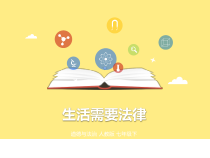 第九课《法律在我们身边——生活需要法律》PPT课件7-七年级下册道德与法治部编人教版