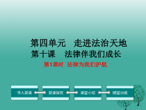 第十课《法律伴我们成长》PPT课件2-七年级下册道德与法治部编人教版
