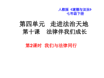 第十课《法律伴我们成长——我们与法律同行》PPT课件2-七年级下册道德与法治部编人教版