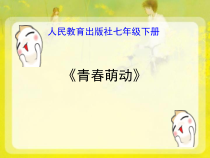 部编版道德与法治七年级下册1.2.2《青春萌动》PPT课件2