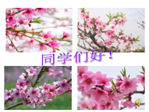 部编版道德与法治七年级下册1.2.2《青春萌动》PPT课件4