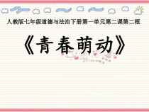 部编版道德与法治七年级下册1.2.2《青春萌动》PPT课件14