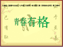 部编版道德与法治七年级下册1.3.2《青春有格》PPT课件9