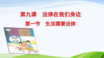 部编版道德与法治七年级下册4.9.1《生活需要法律》PPT课件7