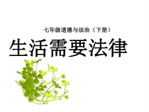 部编版道德与法治七年级下册4.9.1《生活需要法律》PPT课件8